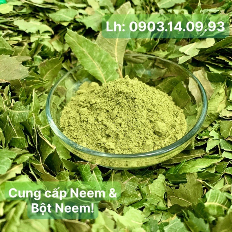 1Kg Bột Lá Neem Nguyên Chất