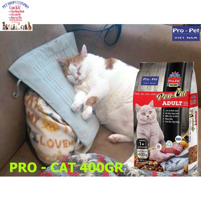 5 Gói Thức ăn hạt cho Mèo trưởng thành PRO-CAT ALDULT Gói 400g Xuất xứ Pro-Pet Việt Nam Dinh dưỡng hoàn chỉnh cho Mèo