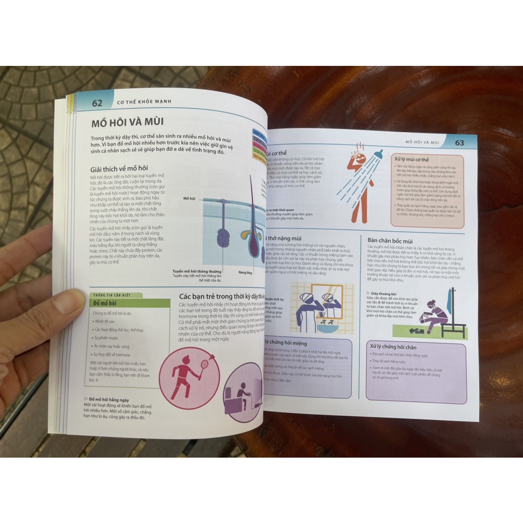 Sách - Bách khoa thư về phát triển kỹ năng Tuổi dậy thì – DK – Đinh Tị Books – Bìa mềm in màu toàn bộ
