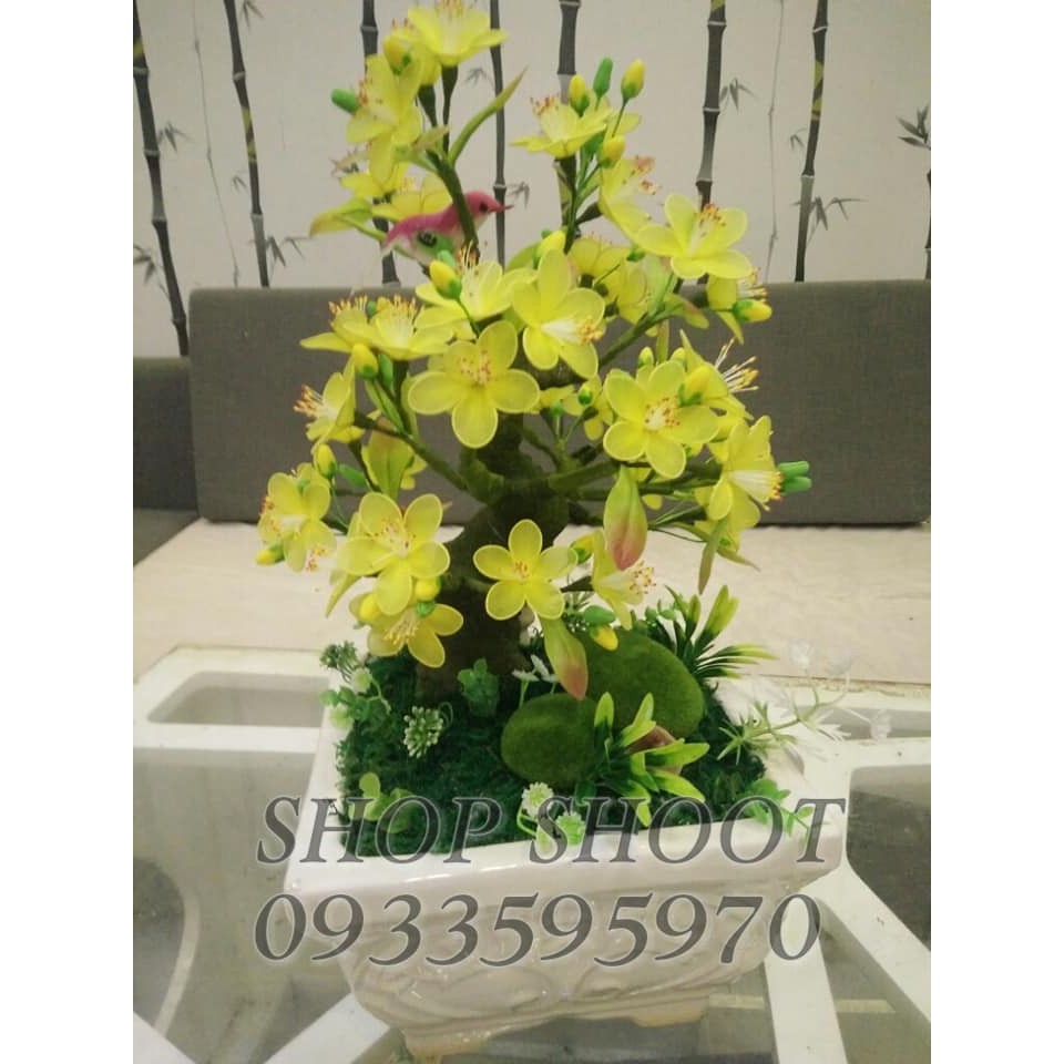 SET NGUYÊN LIỆU BÌNH HOA MAI