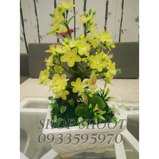 Set nguyên liệu bình hoa mai
