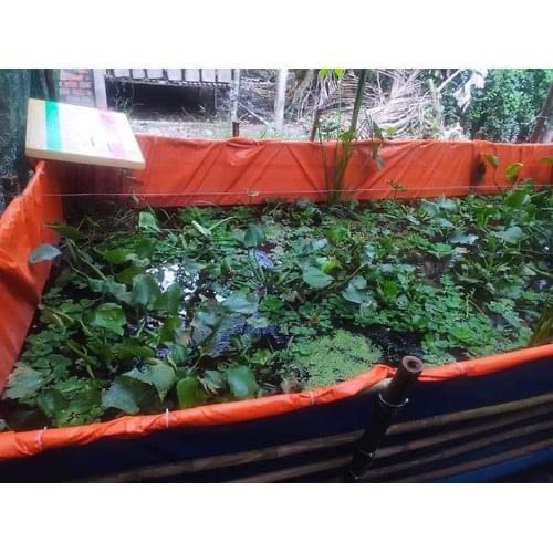 Bể bạt nuôi ốc, nuôi ếch, nuôi lươn - 3x2x1