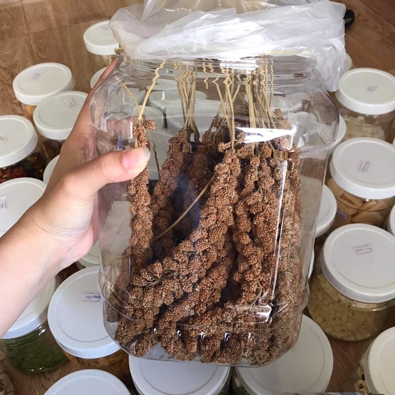 Các loại hạt cho hamster