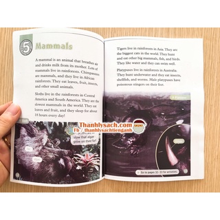 Đồ chơi - Read and discover 3- 10q