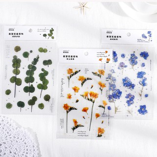 STICKER trong hoa khổ thực vật 2 PET trang trí sổ bullet journal thực vật sáng tạo đa dạng