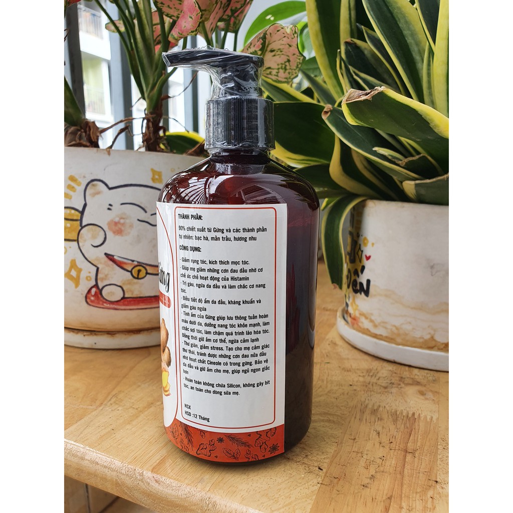 Dầu gội gừng tươi thảo mộc, Sạch Gàu giảm rụng tóc, sản phẩm Handmade, chai 500ml - Goss Việt | BigBuy360 - bigbuy360.vn