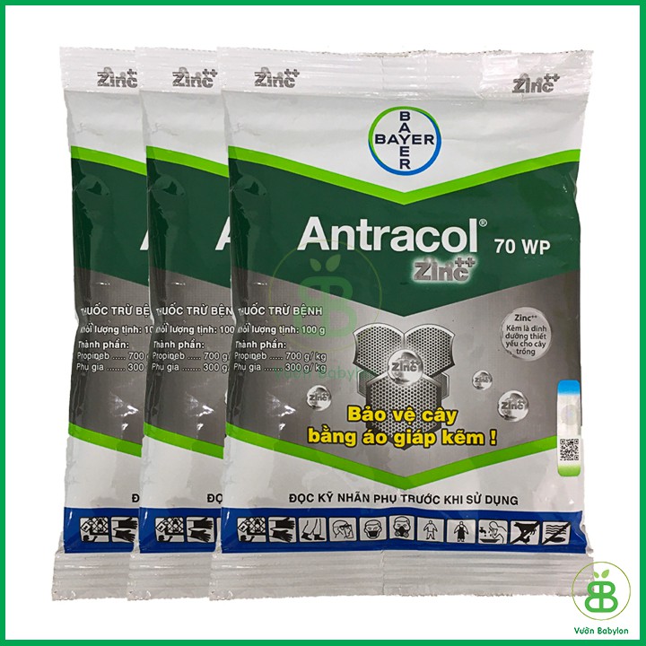 Antracol - Tạo lớp đề kháng cho cây khỏe mạnh, chống lại sâu bênh