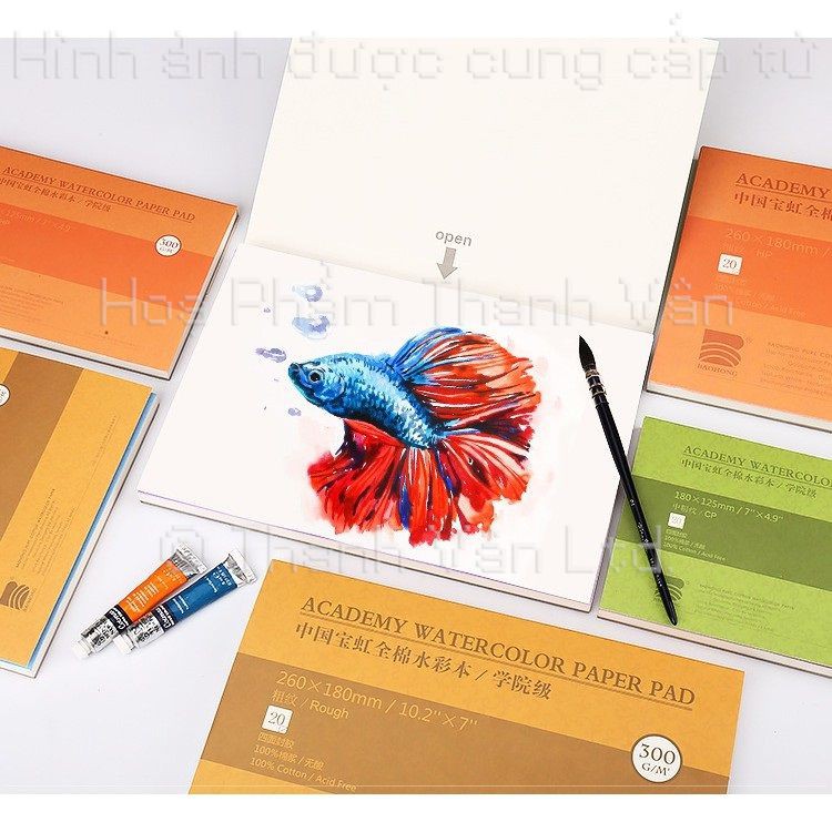 Giấy Vẽ Màu Nước Baohong ~ A0 và Sổ B6 B5 A5 Vẽ Màu Nước Họa sĩ 100% Cotton (Giấy Lẻ Và Sổ) 20 tờ
