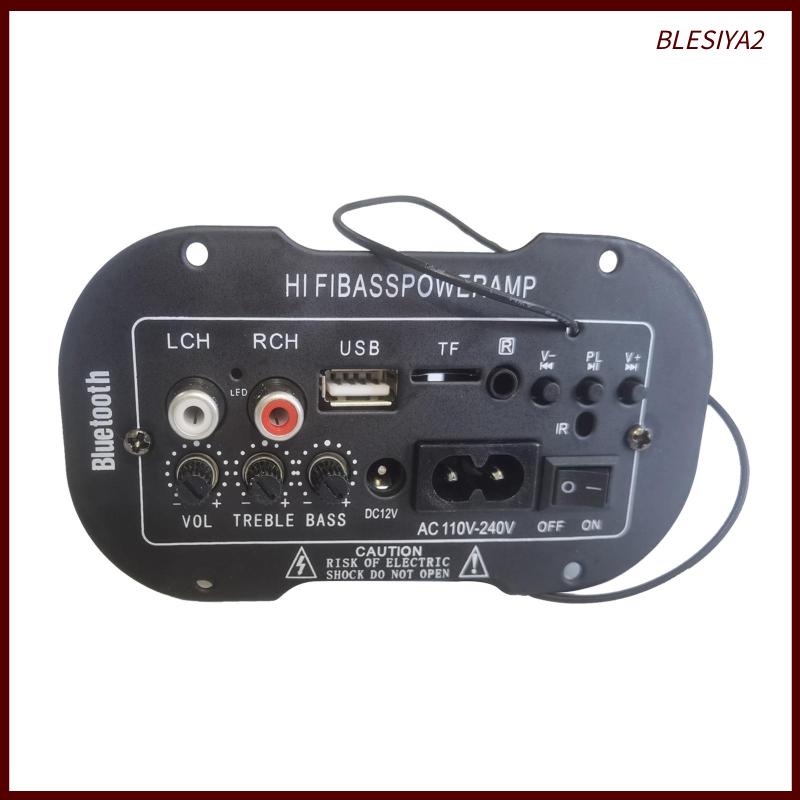 Bảng Mạch Khuếch Đại Tín Hiệu Radio TF / USB Blesiya2