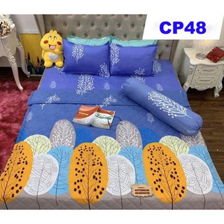 Set Chăn ga gối CP48 Cotton Poly 5 món siêu đẹp siêu bền CP48 chăn trần đẹp sắc nét Full 8 màu