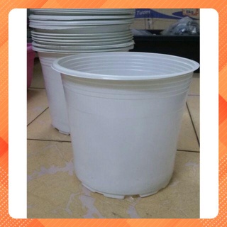 10 Chậu nhựa mỏng CH497 23x19cm màu trắng