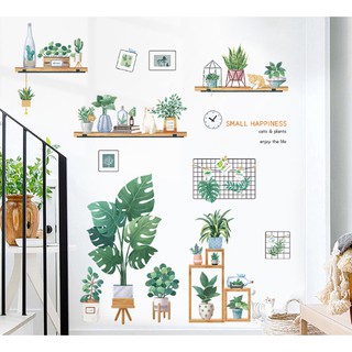 Decal dán tường Combo 2 tranh kệ chậu cây + chậu cây nhiệt đới