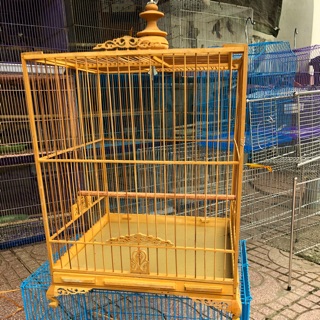 Lồng chào mào Huế (17 nan)