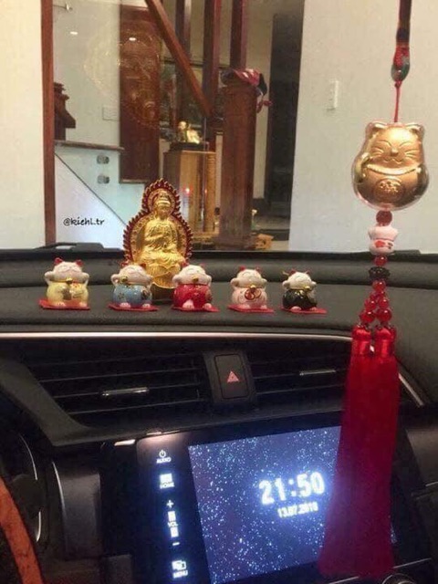 Sét 5 mèo thần tài
