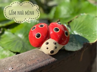 Bọ rùa xoè cánh (cỡ nhỏ)