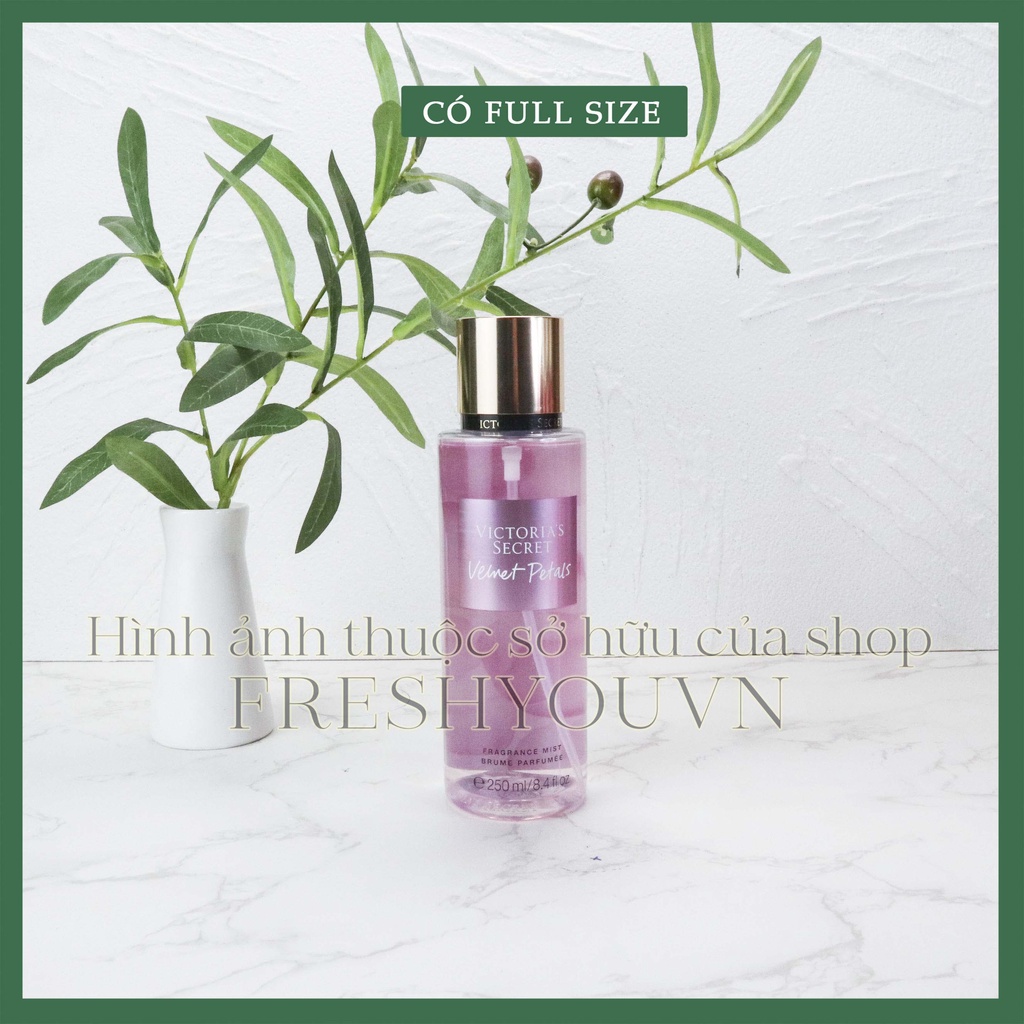 Velvet Petals - Full Size Xịt Thơm Toàn Thân Victoria's Secret  - fresh you