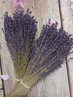 Hoa LAVENDER nhập khẩu Pháp