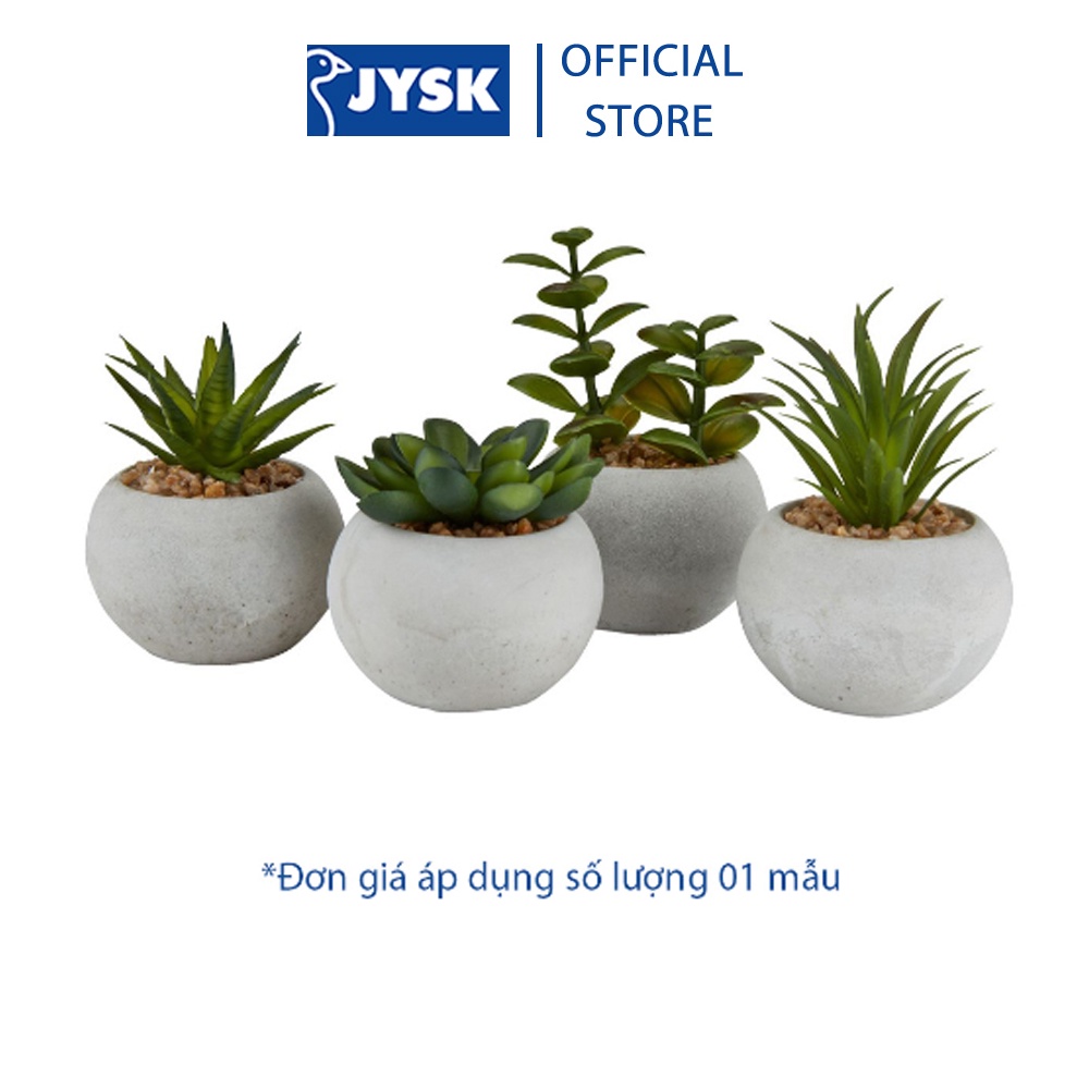 Cây hoa trang trí |JYSK Bror | xi măng/nhựa | xanh/xám | DK7xC9cm