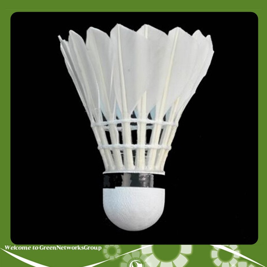 Cầu lông Olympic, ống 10 quả Greennetworks