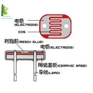 Điện trở quang 5539 LRD - 5mm