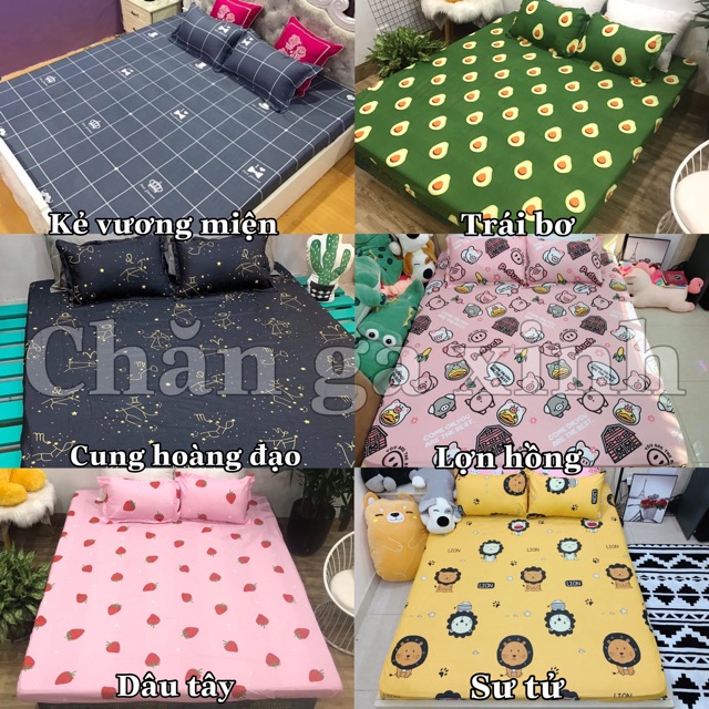 Bộ 4 món ga gối kèm vỏ ôm poly cotton siêu ngộ nghĩnh m6 hoặc m8 (được chọn mẫu)