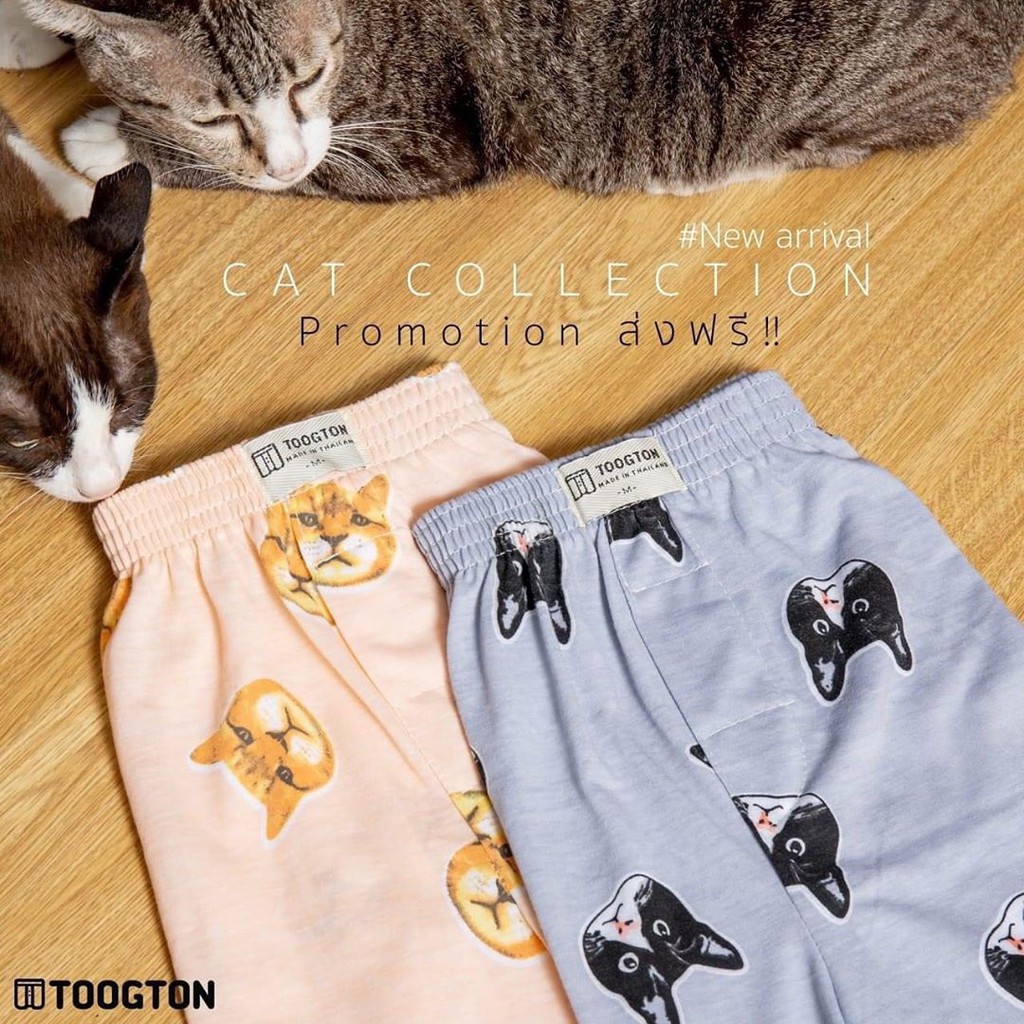 Quần Đùi Nam 100% Thun Cotton Co Giãn [Hình Thật] | BigBuy360 - bigbuy360.vn