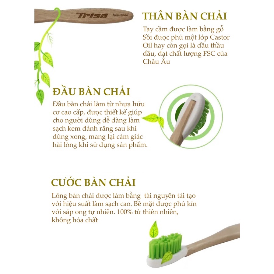 Bàn Chải Đánh Răng Thân Gỗ Trisa Natural Clean Từ Thiên Nhiên