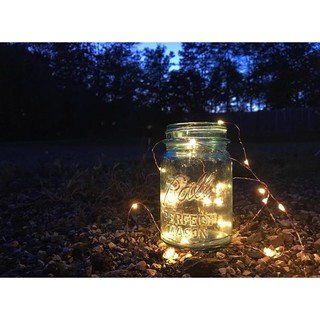 Dây đèn trang trí - đèn đom đóm fairy lights