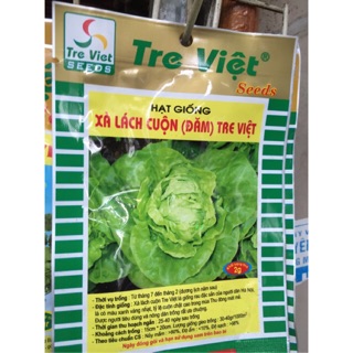 Hạt giống xà lách cuộn