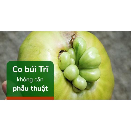 CaoTrĩ Đông Y Chuyên Trĩ Nội Trĩ Ngoại | BigBuy360 - bigbuy360.vn