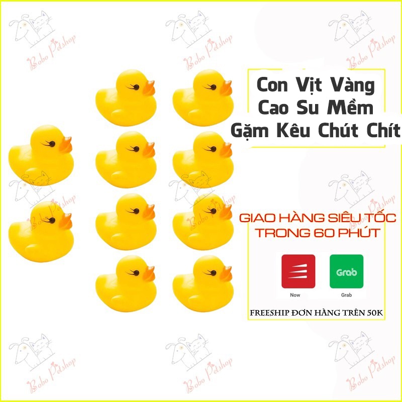 Đồ Chơi Cho Chó Mèo Con Vịt Vàng Cao Su Size Bé Bóp Kêu Chíp Chíp Gặm Ngứa Răng - Bobo Pet Shop Hà Nội