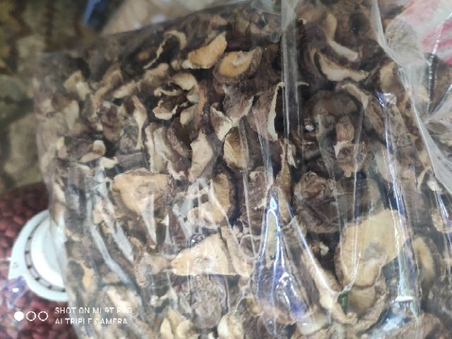 Nấm hương vỡ. Loại loại ngon