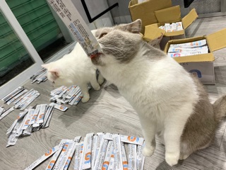 Súp Thưởng Snacks Pet