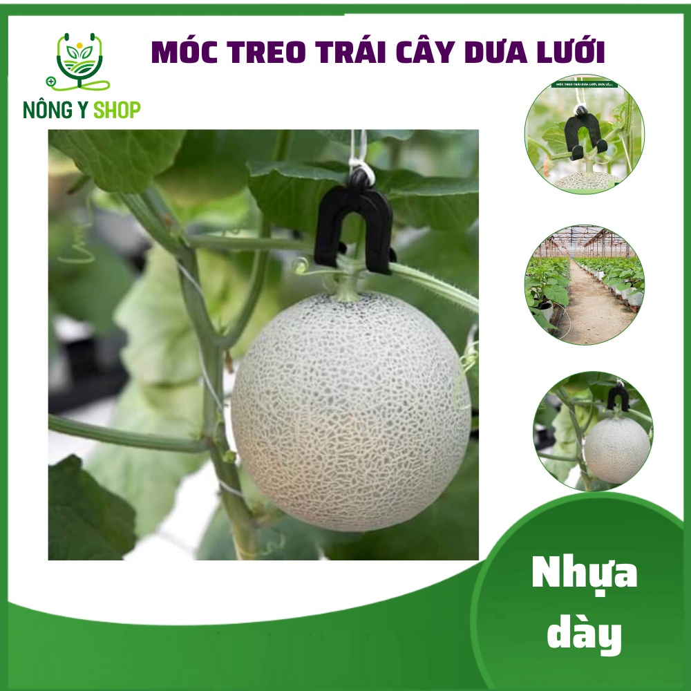 1 Móc Treo Trái cây Dưa lưới, dưa lê Cao Cấp Chuyên dụng treo quả tạo cuống ăng ten, có thể dùng treo trái bầu bí