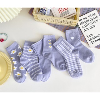 BỘ TẤT TÍM CỔ LỠ MỚI