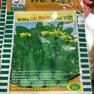 Hạt giống cải ngồng 20 gr ☘️