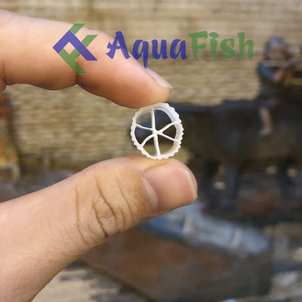 Vật Liệu Lọc Cho Bể Cá Hạt Lọc Kaldnes 1kg (giá thể cho vi sinh cư trú giúp lọc và làm trong nước)