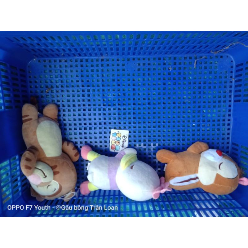 Gấu bông đồng giá size lớn