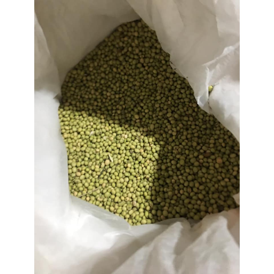 100g đỗ tương làm mầm đậu nành – đỗ tương quê hạt mẩy đẹp