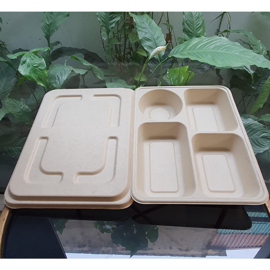 50 Hộp bã mía 4 ngăn nắp bã mía (280*220*40/60)