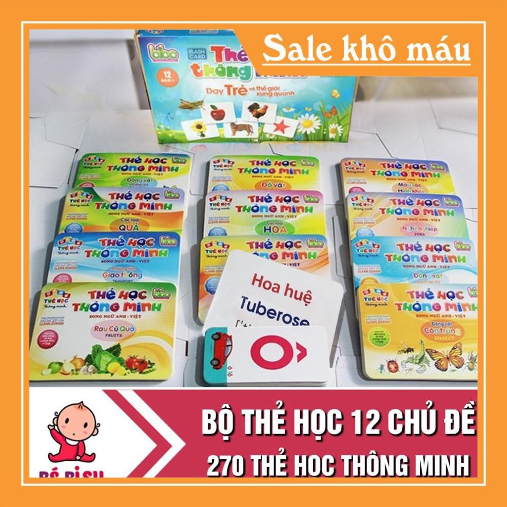 Bộ thẻ học thông minh 12 chủ đề cho bé loại to tặng kèm bộ chữ cái và số (270 thẻ)