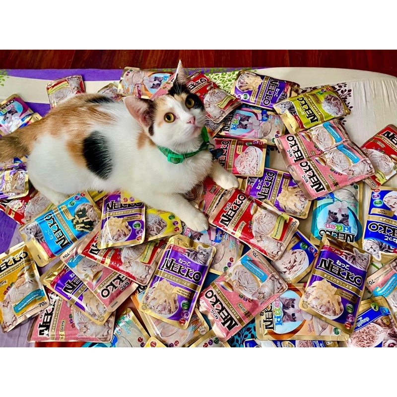 Pate Nekko cho mèo 70g