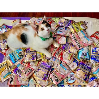 Pate Nekko cho mèo 70g