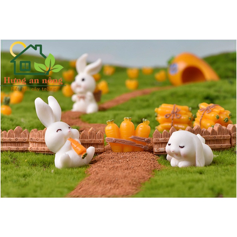 TT01 - Mô hình GIA ĐÌNH THỎ 02 trang trí tiểu cảnh sen đá xương rồng cây để bàn