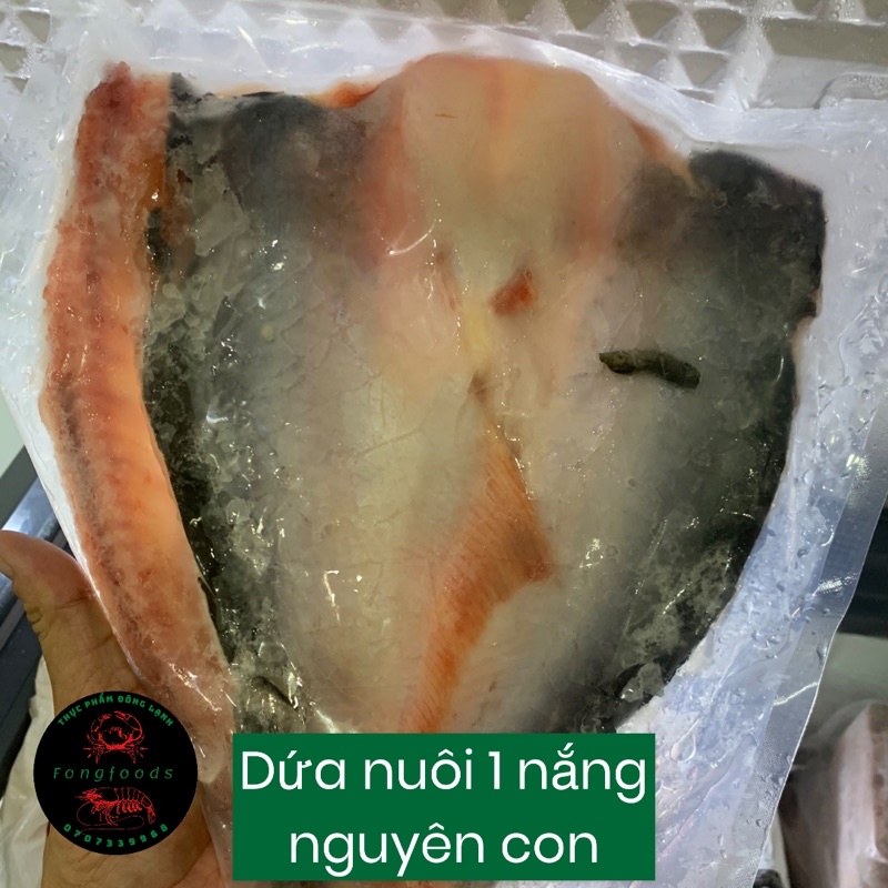 khô cá dứa nuôi 1 nắng nguyên con 700-1kg)