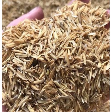 Trấu Sống Bịch Nhỏ 1kg