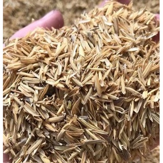 Trấu sống bịch nhỏ 1kg