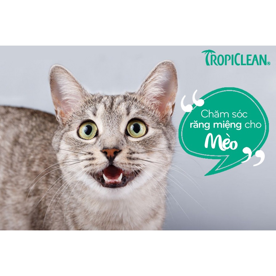 Gel đánh răng mèo Tropiclean 59ml, vệ sinh chăm sóc răng miệng mảng bám hôi miệng Con Mèo Xiêm