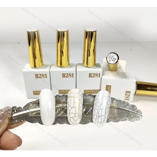 Sơn nứt - sơn gel nền nứt b281
