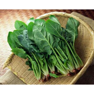 hạt giống rau bina ( cải bó xôi )
